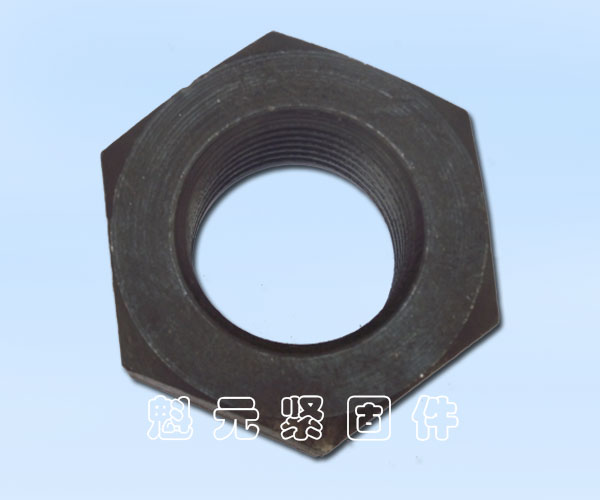 高溫高壓螺母30CrMo