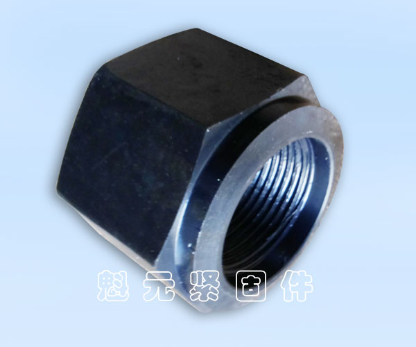 高溫高壓螺母